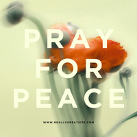 peace_70884afe-f2a5-4b86-b07b-a38f4fe085b2.png