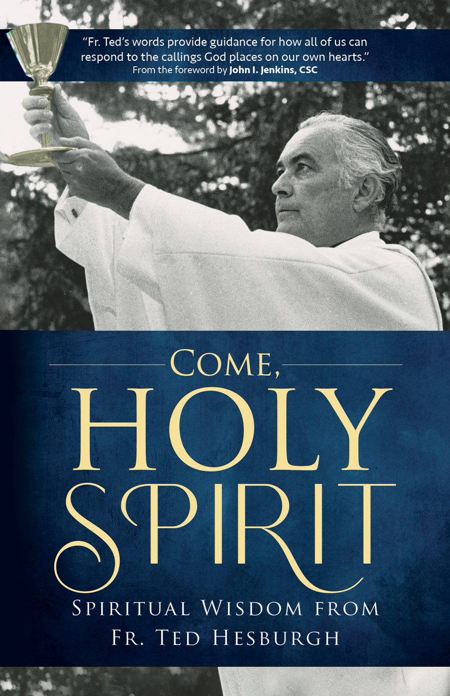 9781646801152.jpg,Book cover of Come, Holy Spirit,Book cover of Come, Holy Spirit: Spiritual Wisdom from Fr. Ted Hesburgh