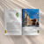 Basilicas-Interiors.gif
