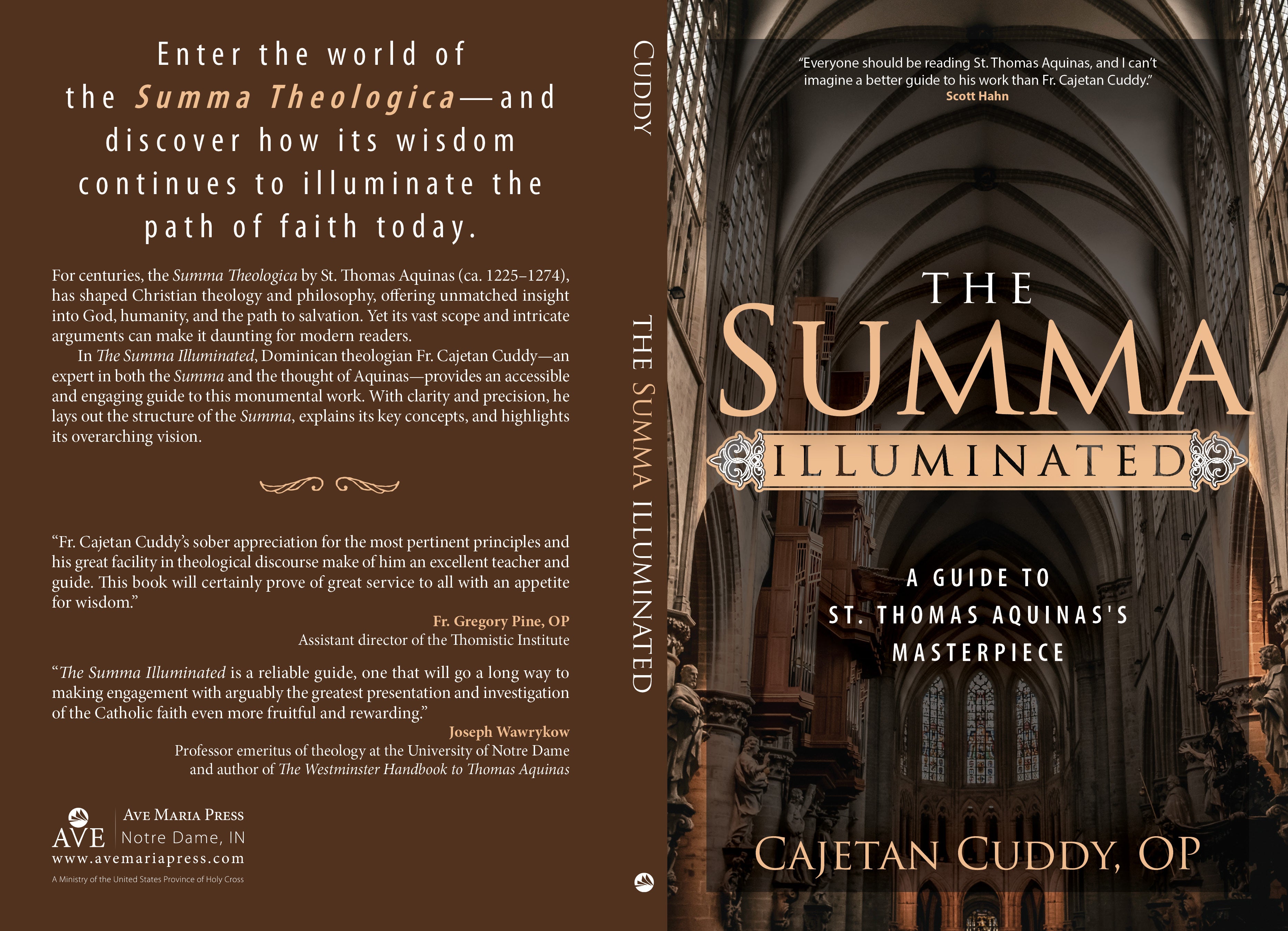 The Summa Illuminated
