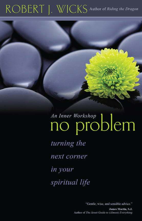 No Problem Cover No Problem