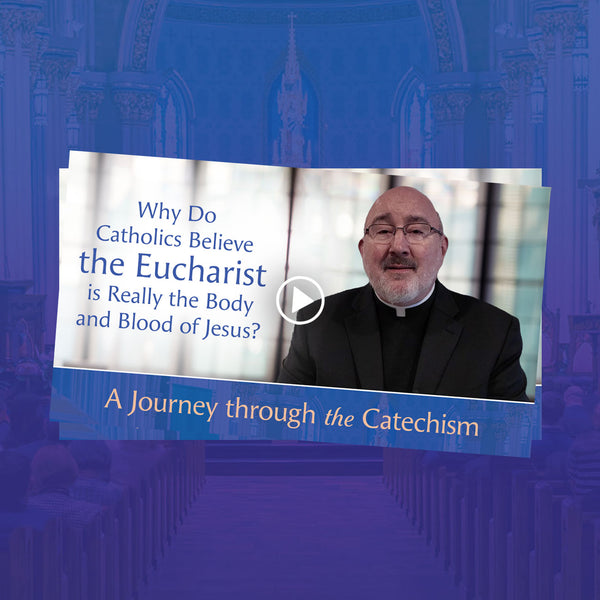A Journey Through the Catechism Highlight Videos