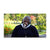 ComapnionVideosWWTileheight_320_width_320_1.jpg